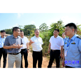 以整改实效守护绿水青山 以治理效能厚植发展底色