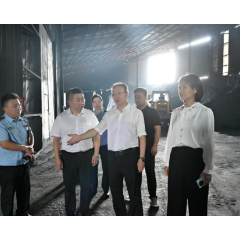 严整改、防风险、促转型 擦亮绿色发展底色