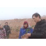 “一户一产业工人”培养工程丨肖文波：政府良策来助力 种茶制茶显身手