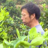 【湖南日报】设帮扶基金 防致贫返贫 资兴已有48户115人通过防贫基金获得帮扶