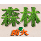 【郴州日报】市安全生产环境保护特别督查组到资兴开展森林防灭火督查
