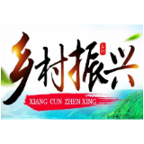 蓼江镇石禾塘组：拆旧建新助力乡村振兴