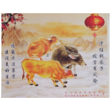 东江街道：开展打击非法集资宣传活动