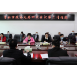 郑艾萍参加政协第三组、第五组、第六组讨论