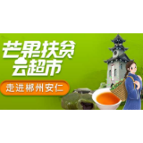 绿茶不耐泡？你对绿茶的误解有多少？