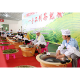 资兴举办2020年中华茶祖节手工制茶竞赛