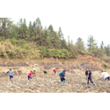 【农民日报】湖南资兴：“支部农场”促脱贫
