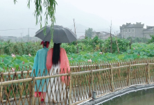 资兴流华湾古村：荷花池上过端午