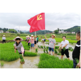 三都镇：党员干部下田助春耕
