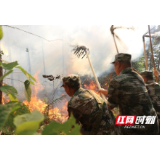 资兴人武部组织民兵跨区成功扑灭山火