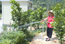 乡村最美家庭丨随遇而安是一种好的心态