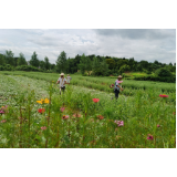 陈兴：建设美丽乡村的“农民书记”