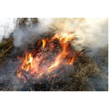 蓼江镇：发挥“三人”作用 对秸秆焚烧说“不”