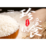 清江镇：稻花香里说实践——节约粮食