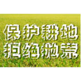 市农业农村局：多措并举保粮食安全