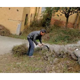 东江街道：洁净新东江 清爽迎新年