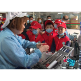 市一完小：开展学党史社会实践主题活动