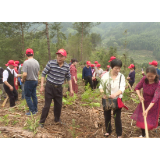 60名知青重温光辉岁月，感受美丽乡村 