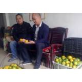 唐洞街道：开展“增收补损”  真心帮扶贫困户