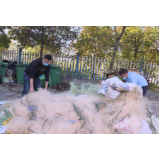 兴宁镇：销毁非法捕捞器具 全力守护东江湖生态