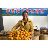 【中国新闻网】丨文化扶贫在行动·湖南篇： 湖南资兴“借水行舟”赋能“绿色经济”发展