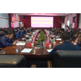 资兴市召开安委会暨安全生产专项整治推进会