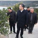 杨理诚调研清江镇产业发展情况