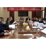 朱承旺参加人大第八代表团审议