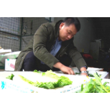 朱孝金：网店让“湖鲜汇”走得更远