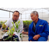 资兴市柑橘无病毒种苗繁育场全面投入使用