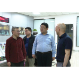 省工信厅到资兴调研硅材料发展情况