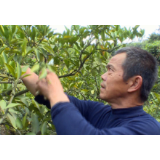 何茂仁：学好了技术，我就脱了贫