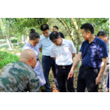 罗成辉调研城区环境优化改善工作