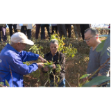 黄草镇金水村：“保姆式”培训让果农尝到科技甜头