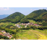 资兴：全面完成农村集体资产年度清查