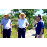   蒋锋到资兴开展巡河工作