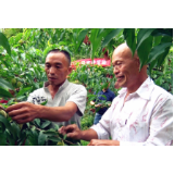 汤溪镇：“三讲三促”主题宣讲活动进桃园