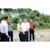 重点工作决战决胜年丨罗成辉调研部分重点项目建设