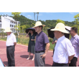 高爱国到资兴调研
