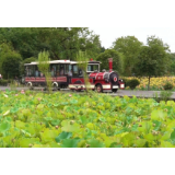 流华湾：坐着火车去赏荷 古村焕发新活力