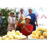 桃园变身“直播间”农户带货成“主播”