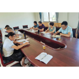 蓼江镇龙虎村：民主生活会助推工作凝心聚力