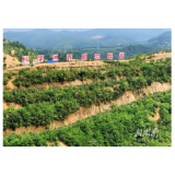 走向胜利·决战决胜乡村述说｜小村吃下大项目