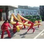 东江街道：龙狮齐舞闹新春