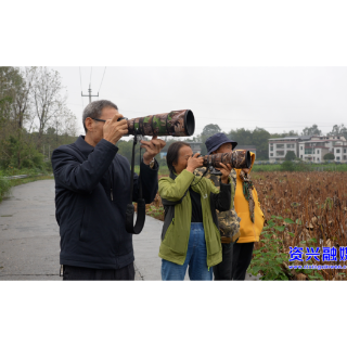 又是一年候鸟迁徙季  “新老朋友”来相会