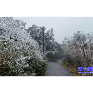 回龙山迎今冬首场雾凇景观