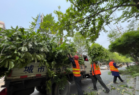 资兴：城市美容师扮靓城区环境