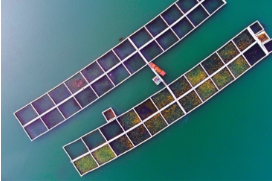 【郴州日报】“真想在东江湖住一个星期”