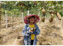 资兴市八面山瑶族乡八月炸“炸”出一条致富路