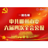 一图看懂 | 中共郴州市委六届四次全会公报